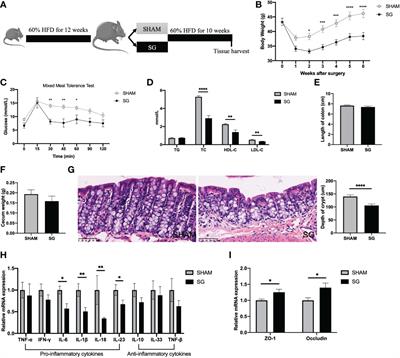 Sleeve gastrectomy decreases high-fat diet induced colonic pro-inflammatory status through the gut microbiota alterations